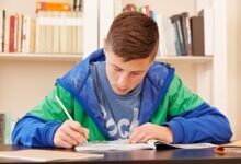 تعلم الهولندية