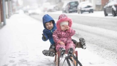 الطقس في بلجيكا