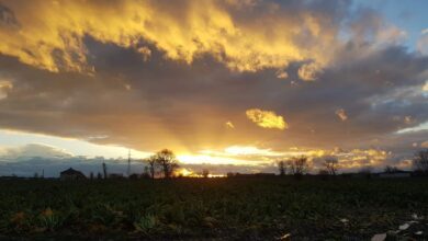 طقس اليوم في بلجيكا