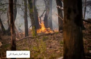 اخبار انتويرب