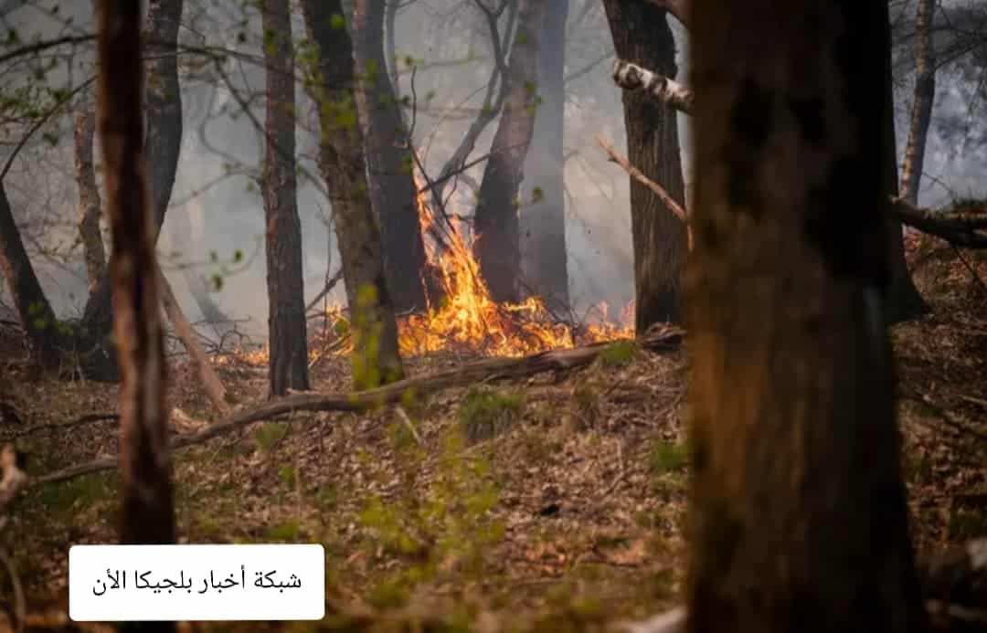 اخبار انتويرب