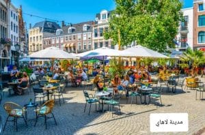 ما هي أجمل 5 مدن تستحق الزيارة في هولندا 6 مدينة لاهاي في هولندا