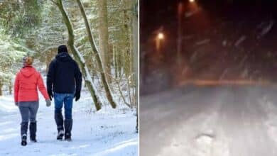 الثلوج في بلجيكا .. وكالة الأرصاد الجوية تحذر من الطرق الزلقة