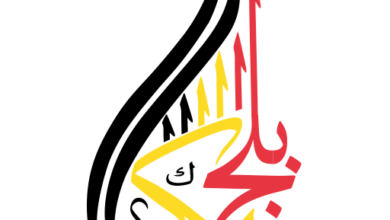 لوجو موقع اخبار بلجيكا الان مباشر