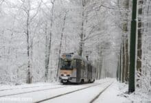 تساقط للثلوج في بروكسل والجانب الفلماني في بلجيكا هذا الشتاء