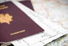 كيفية التقديم للجنسية في بلجيكا على أساس اقامة B