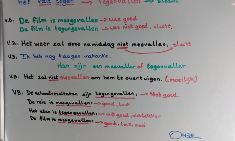 تعلم اللغة الهولندية... درس meevallen و tegenvallen