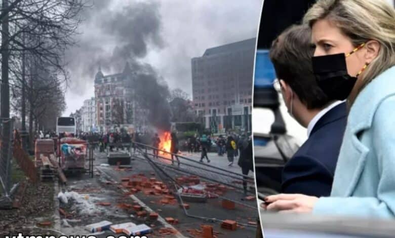 اعتقال أكثر من 230 شخصًا بعد أعمال الشغب في بروكسل الآن