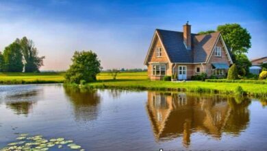 العيش في بلجيكا