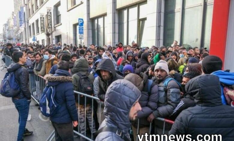 اللاجئين في بلجيكا