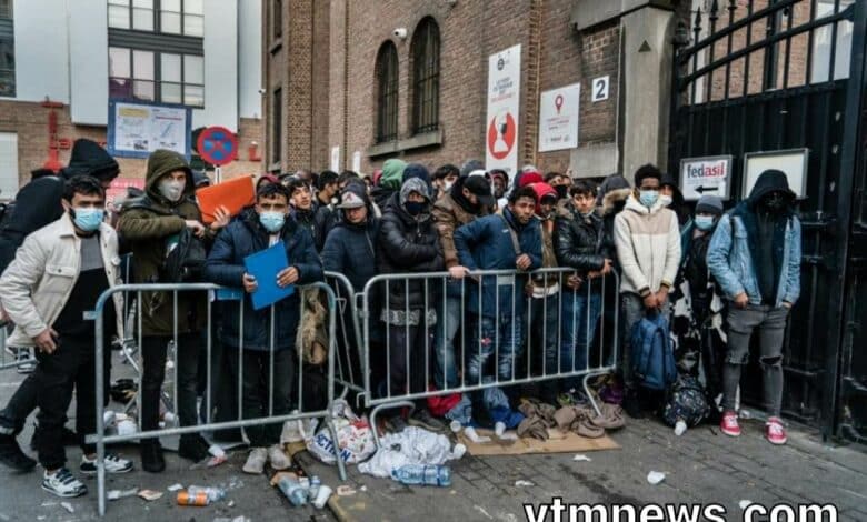 راتب اللاجئ في بلجيكا