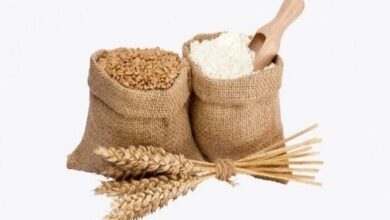 زكاة الفطر في بلجيكا