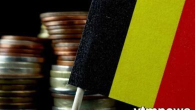 procedure against Belgium