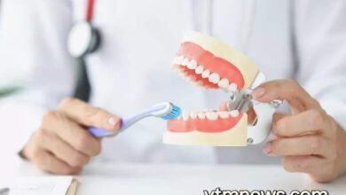 طبيب الأسنان في دولة بلجيكا