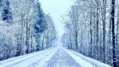 الثلوج في بلجيكا