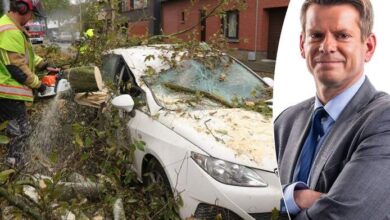 الطقس بلجيكا