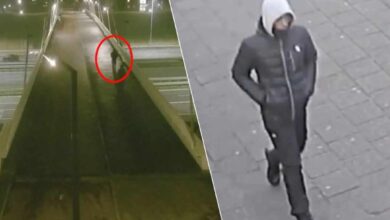 هولندا اليوم