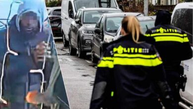 أخبار هولندا