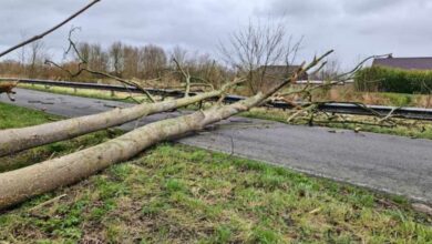 طقس بلجيكا اليوم