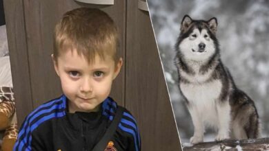 طفل وكلب في بلجيكا