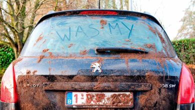 لوحة السيارة