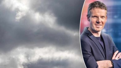 الطقس بلجيكا