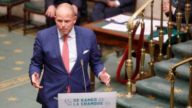 تيو فرانكين بلجيكا