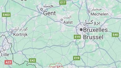 Mons