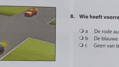 الرخصة البلجيكية