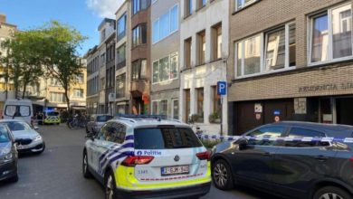 طفلة أنتويرب