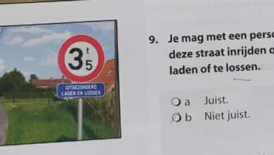 إشارات المرور