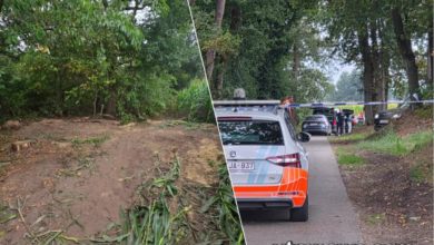 اخبار بلجيكا