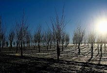 الطقس في أيام عيد الميلاد