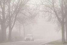 الضباب في بلجيكا