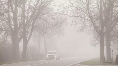 الضباب في بلجيكا