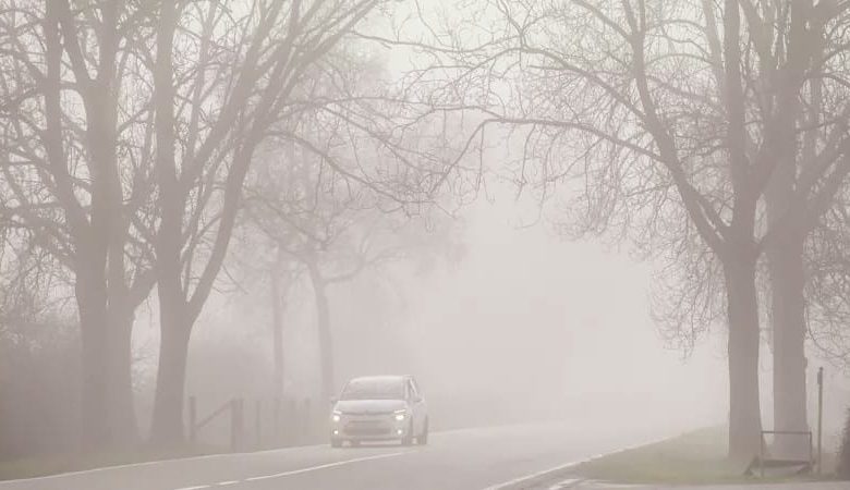 الضباب في بلجيكا