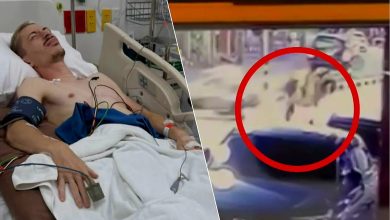 تامين السفر