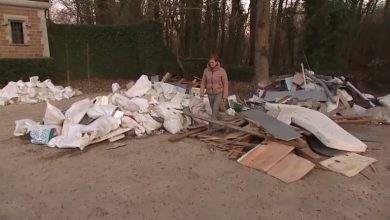 القمامة في مدينة Meise