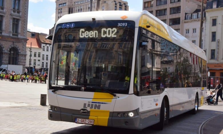 bus