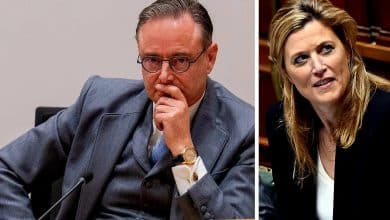 de wever