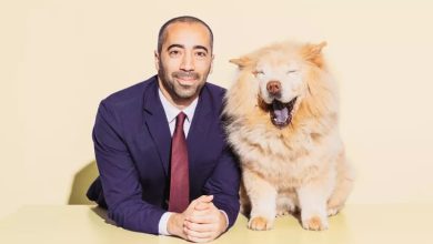 كلب سامي مهدي