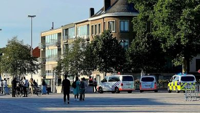 Bruges man harassing women and children