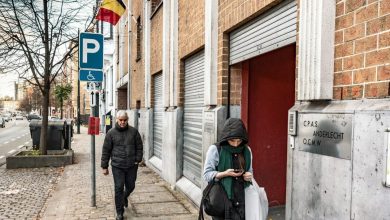Belgian social welfare assistance and unemployment support