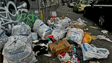 Brussels Garbage Collection