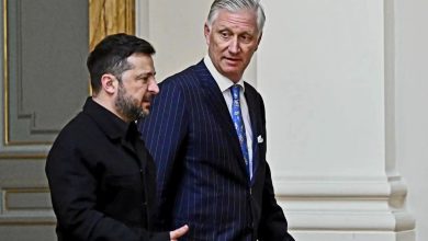 Belgian King Philippe and Ukrainian President Volodymyr Zelensky